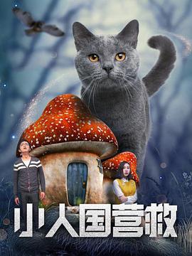 秋霞理论2020年成人免费