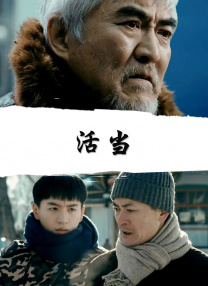 青春岁月